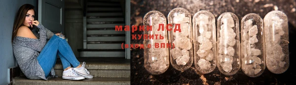 PSILOCYBIN Богородск