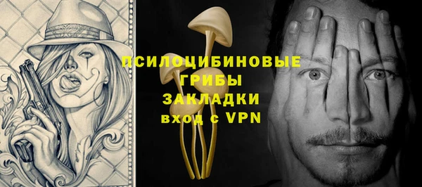 PSILOCYBIN Богородск
