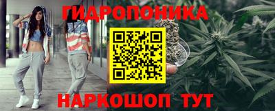 таблы Сланцы