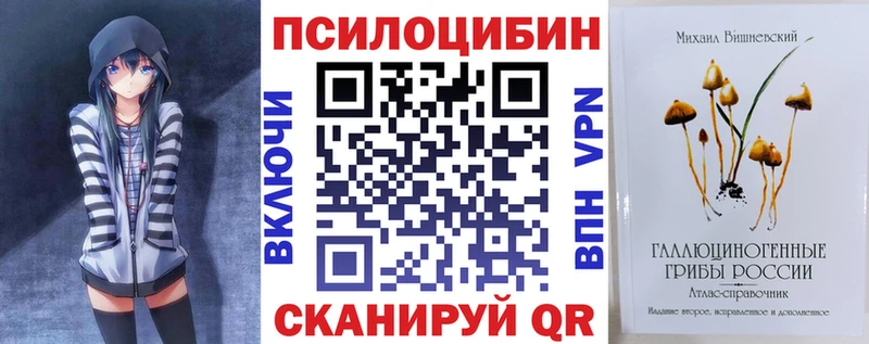 ссылка на мегу зеркало  Среднеуральск  Галлюциногенные грибы Psilocybe 
